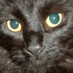 Florencethecat (@florencethecat) Twitter profile photo Florencethecat (@florencethecat) Twitter profile photo