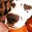 ESTHER_AH's profile image