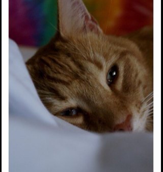 PamelaRobertsp's profile picture. 