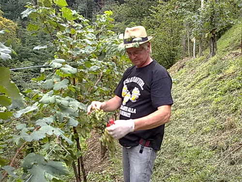 theicoenen's profile picture. 