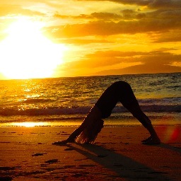 The Zen Zone is Hatha Yoga at it's finest! With a certified RYT200 teacher guiding you in the comfort of your home! Contact me for more information.