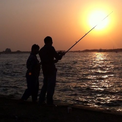 fahmeya's profile picture. 