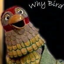 The whybird has landed long live the whybird