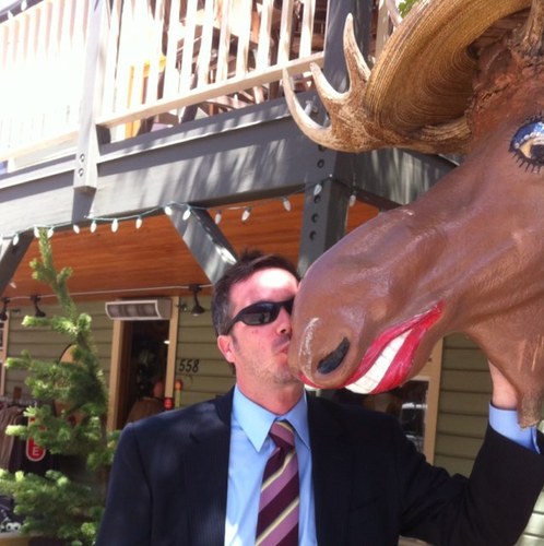 groovygraves's profile picture. 