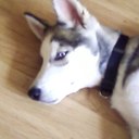 Bethan Yates - @yates_bethan - Twitter