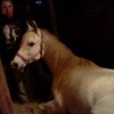 Tamara Wise - @tjwise8860 - Twitter