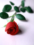 looking for more followers that's the right place! just retweet any tweet and you will get A new follower forever!