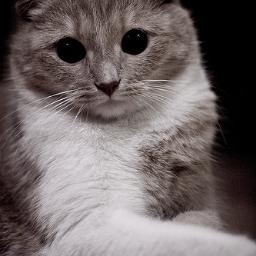 sdfsdfdsf1987's profile picture. лалал