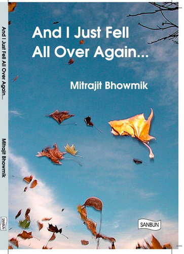 Author - 'And I Just Fell All Over Again...'