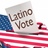 The Latino Voter