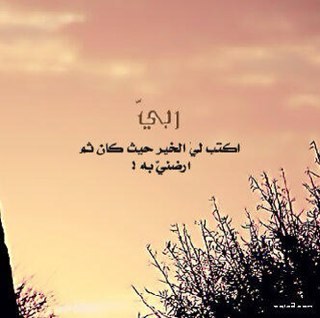 ( إِنّي تَوكَلْتُ عَلَى اللهِ رَبي و رَبَكُم مَامِن دَابَةٍ إِلاَّ هُوَ آخِذٌ بِنَاصِيَتِها إِنَّ رَبِّي عَلَى صِرَاطٍ مُسْتَقِيم )