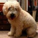 Liam Hadley - @HadleyandLiam - Twitter