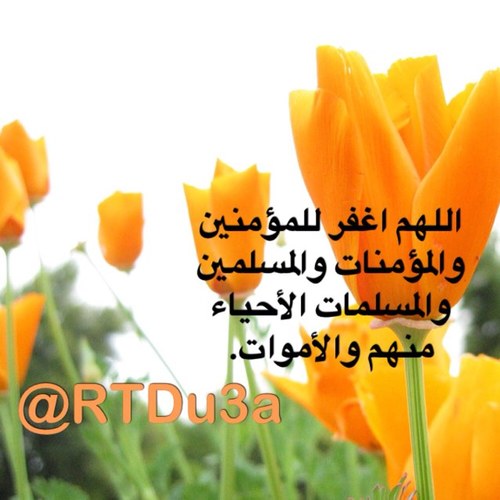 اللهم إجعلني ناطقاً لـ الشهادتين اللهم إني أعوذ بك من عذاب القبر وعذاب جهنم.
