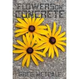 I am the author of Flowers on Concrete, available now in paperback and as an Ebook. Free samples available at amazon and at my blog.