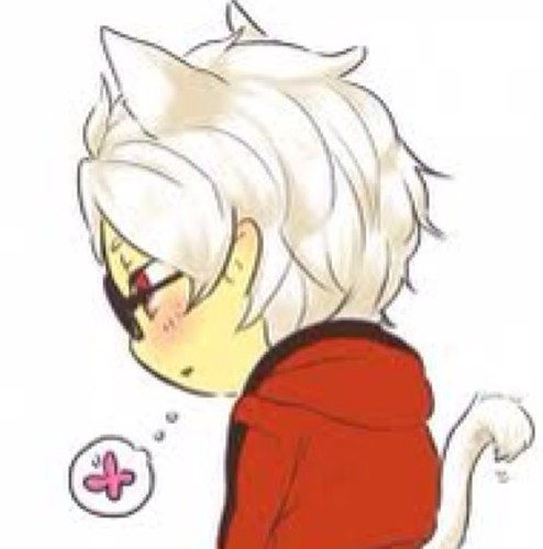 Im a cat. So, purr and shit.