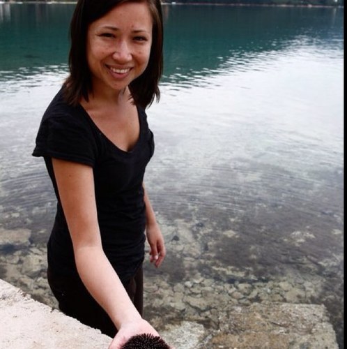 zoratancak's profile picture. Freems biedt animatieworkshops aan voor scholieren e.a. geinteresseerde.              Stopmotion en 2d-animatie.