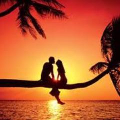 kateywillow's profile picture. 