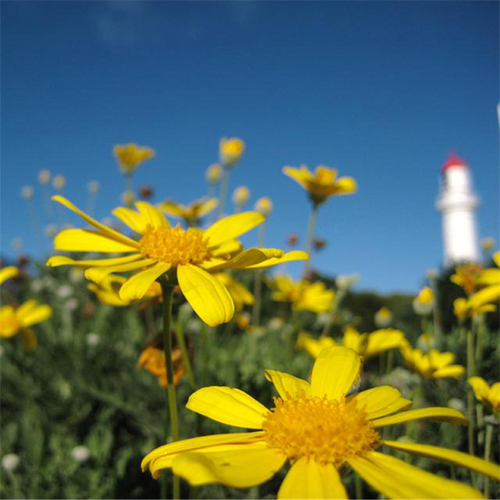 SunComm2012's profile picture. 