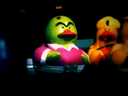 s h u c k y d u c k y      |    quacka  ass  quacka