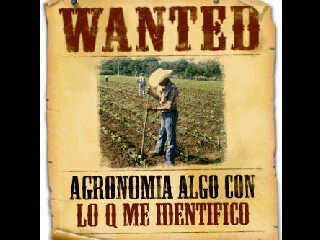 deyvitt_'s profile picture. 