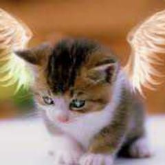 cristia46083591's profile picture. 