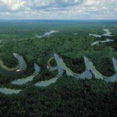 naserhedr68's profile picture. 