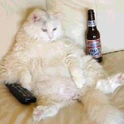 JoseAcostaGhost's profile picture. soy solo un nuevo youtuber que esta recien empezando¡¡¡ :D 
(los sigo a todos de vuelta)