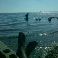 Raymond Sewell (@rayesew) 's Twitter Profile