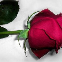 BellaMarie1234's profile picture. Passionate, smart, confident author. Married 30 years, learned to thrive after infidelity. When your husband cheats, has an affair, you can be irresistible