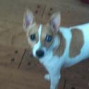 darlene stout - @18dstout - Twitter