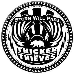 Defying the current state of popular music, Thicker Than Thieves successfully blends soulful vocals, searing guitar solos, powerful horns, and a rock-reggae bas