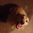 Paul Downs - @burddog33 - Twitter