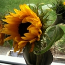 Iain Hunter - @rocketmailboy - Twitter