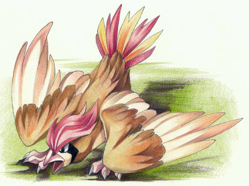 cualquierpidgey's profile picture. Vaya...