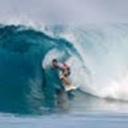 state farm - @jake_swenson35 - Twitter