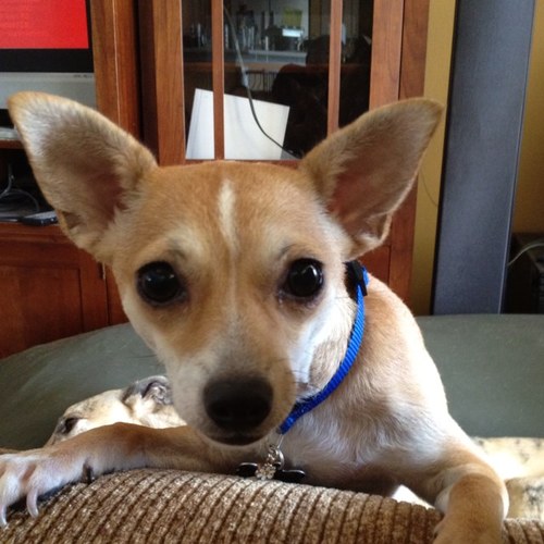 NorderChandler's profile picture. 