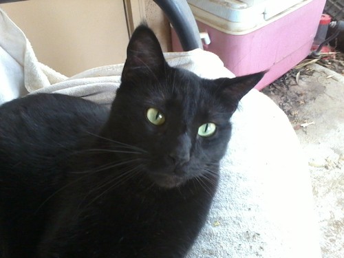 robotgirl28's profile picture. 