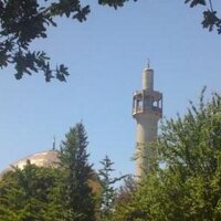 MaryamLane (@maryamlane) 's Twitter Profile Photo