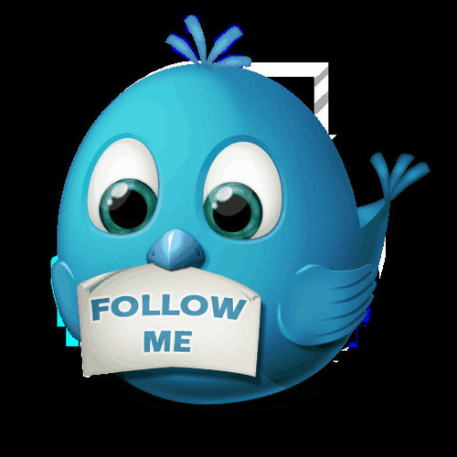 NF= Always NFB. A Promo Account ,