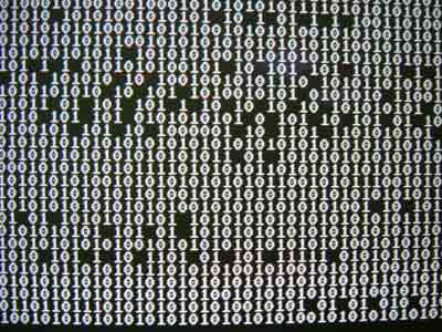 codedoc's profile picture. 