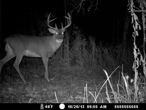 GmgallowayGreg's profile picture. 