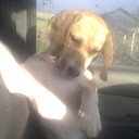 Tammy Keeling - @TamKee64 - Twitter