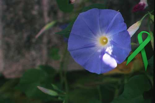 loves photography,embroidery,cooking,gardening,writing,history,collector,internet marketer