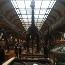 Xavier Robert - @XavierRobert2 - Twitter