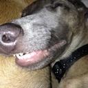 Steve Searle - @searle_steve - Twitter