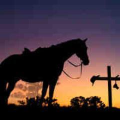 Horse Trainer. Love Books, Music, Fitness, Photography, the Outdoors, Jeeps, Muscle Cars, Manly Men, Respect, Guns, Freedom, and the Truth