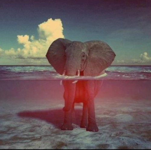 HudaMalikFfm's profile picture. My name has nothing to do with Zayn Malik..!   BHANGRAHOLIC  instagram : hudamalik.  bollywood-freak              http://t.co/pyzRzoQ6