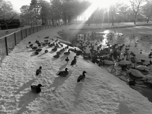 jscoll10's profile picture. 