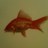 mauricien007's profile image