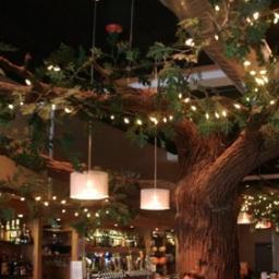 If the tree could talk...Official twitter account of Paul's Club. One of a kind tap beer selection. One of a kind bartenders, cocktail servers, & coolers.